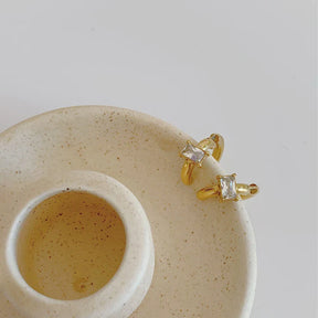 Brinco Zirconia Trendy - Lux